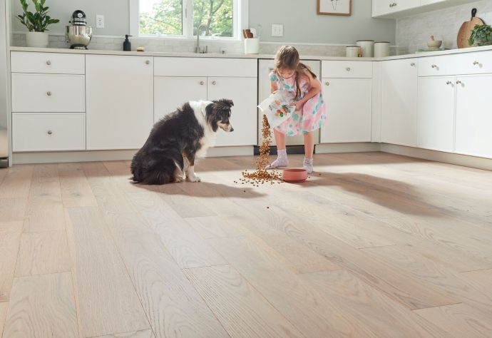 Little girl spilling dog food with her dog looking on; white engineered Dogwood Pro flooring; kitchen scene