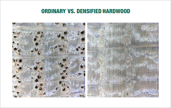 ordinary v densified wood