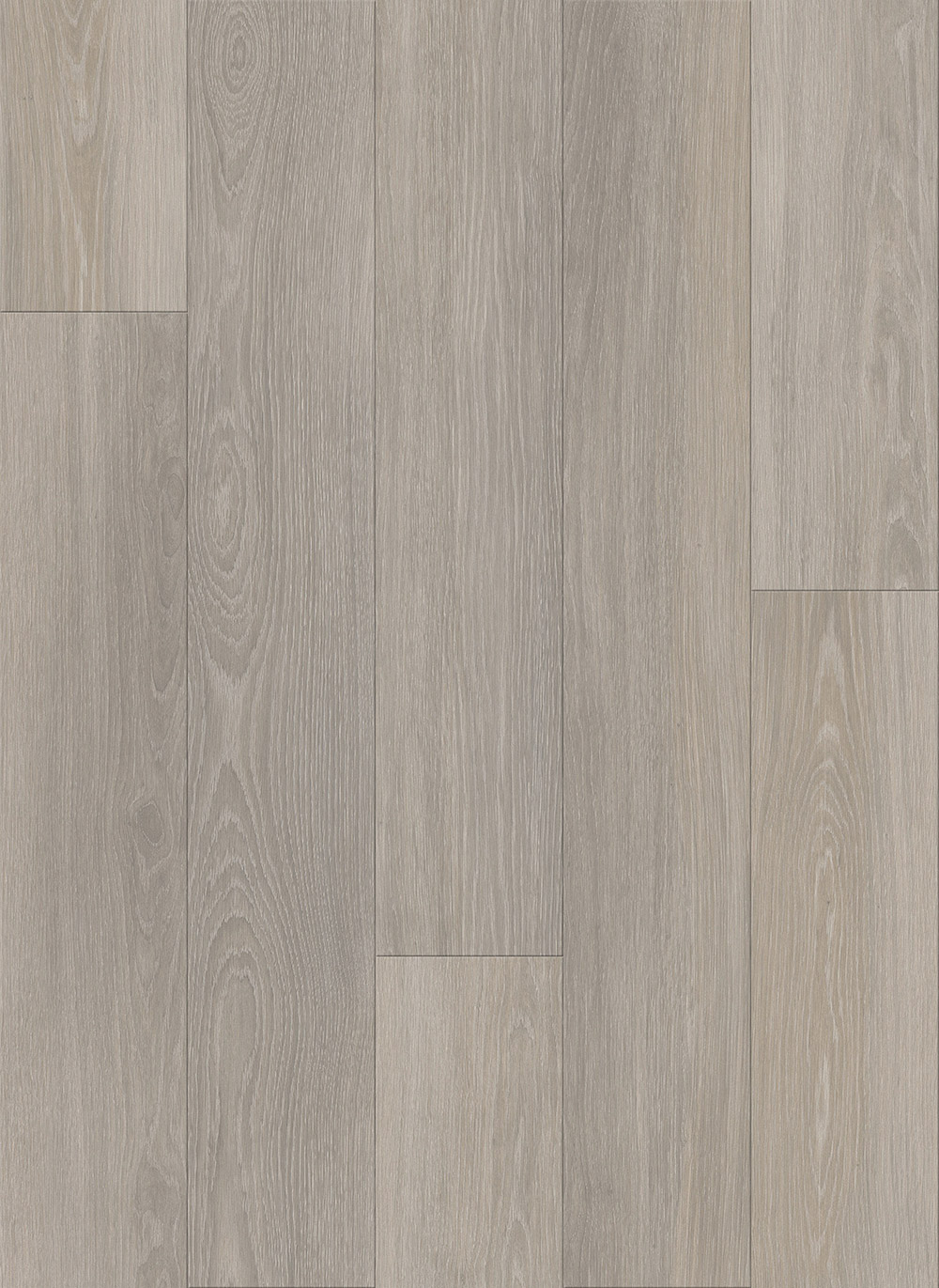  Quiet Winter Dry Back LVT 1LV07006