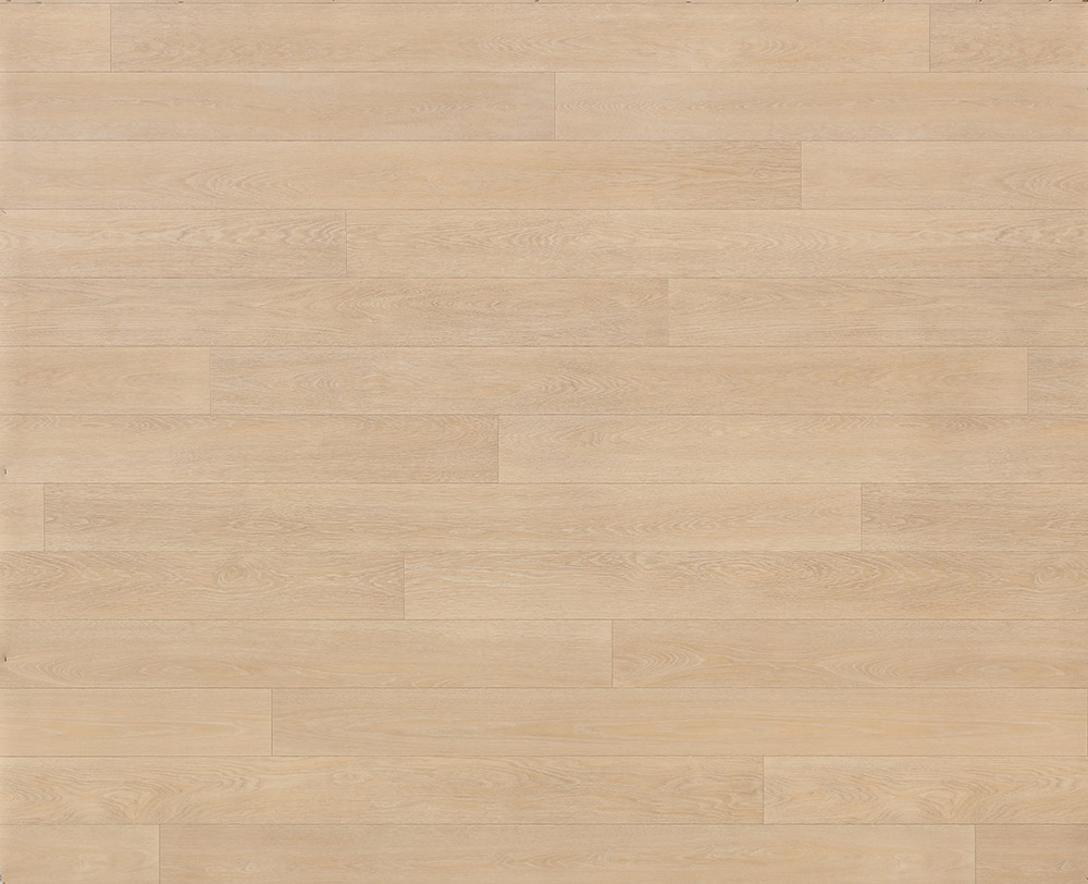 Concepts of Landscape Dune Heterogeneous Sheet 1HE2M001