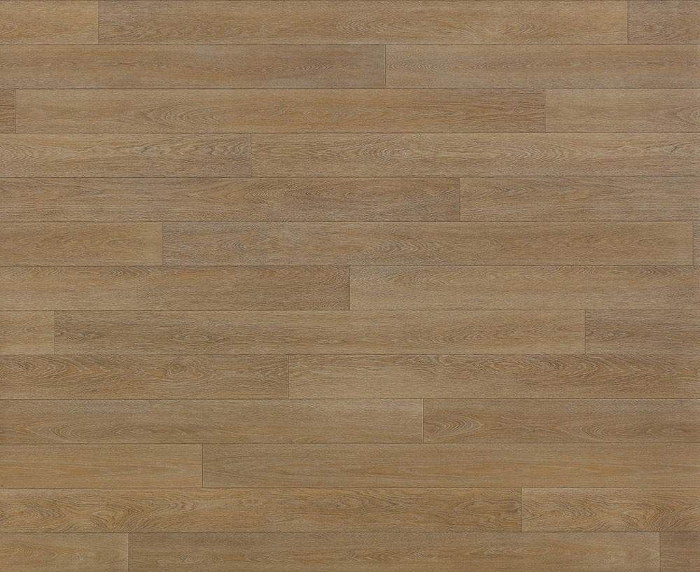  Latte Heterogeneous Sheet 1HE2M007