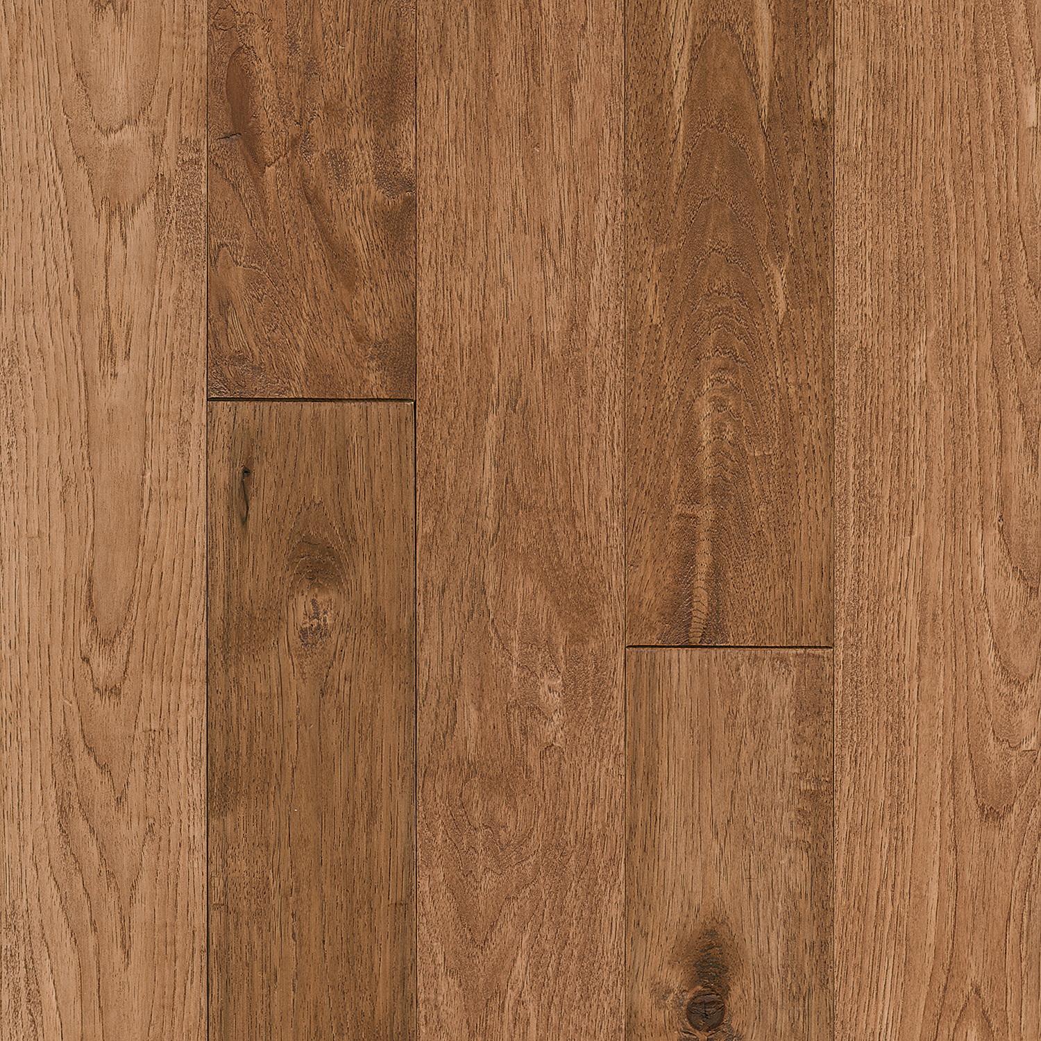 Paragon Rawhide Solid Hardwood SAHP59L401H